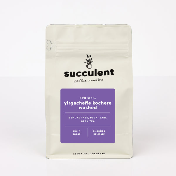 ethiopia yirgacheffe kochere washed