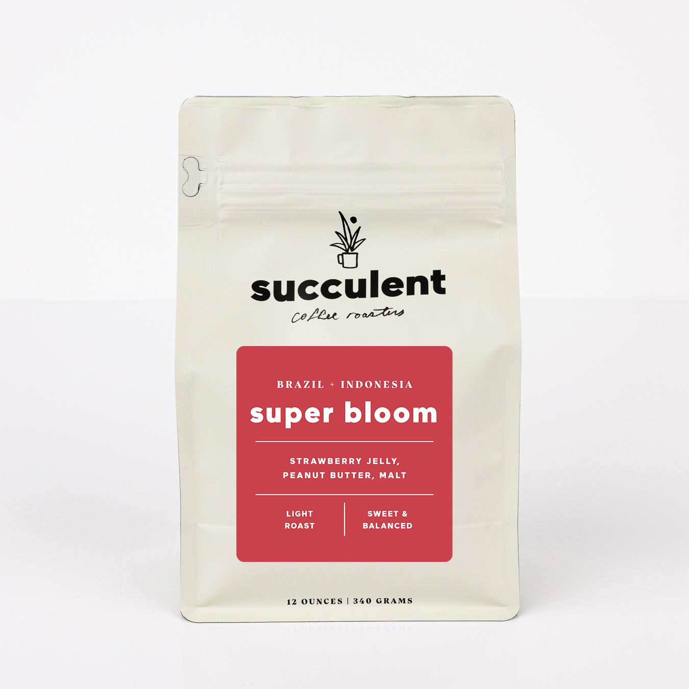 succulent coffee roasters photos Super Bloom Light Roast Coffee