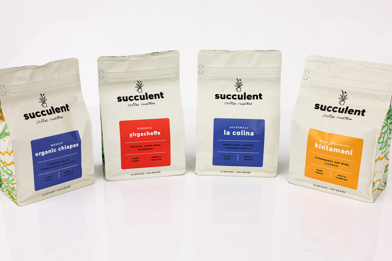 succulent origin roaster's choice