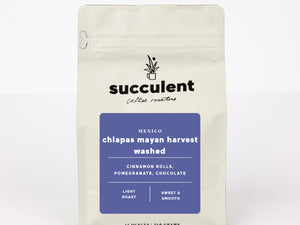 Coffee package with 'succulent coffee roasters' branding on a white background