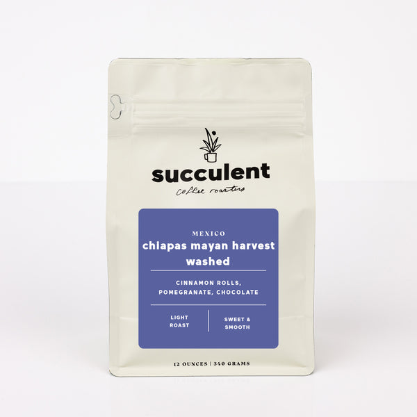 Coffee package with 'succulent coffee roasters' branding on a white background