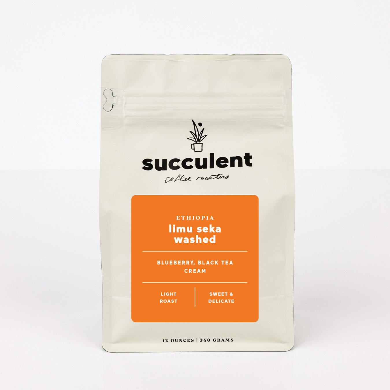 succulent coffee roasters ethiopia limu seka washed