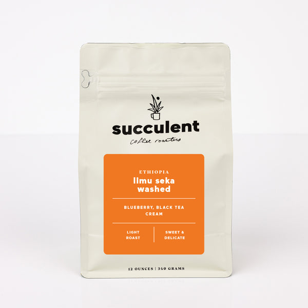 ethiopia limu seka washed